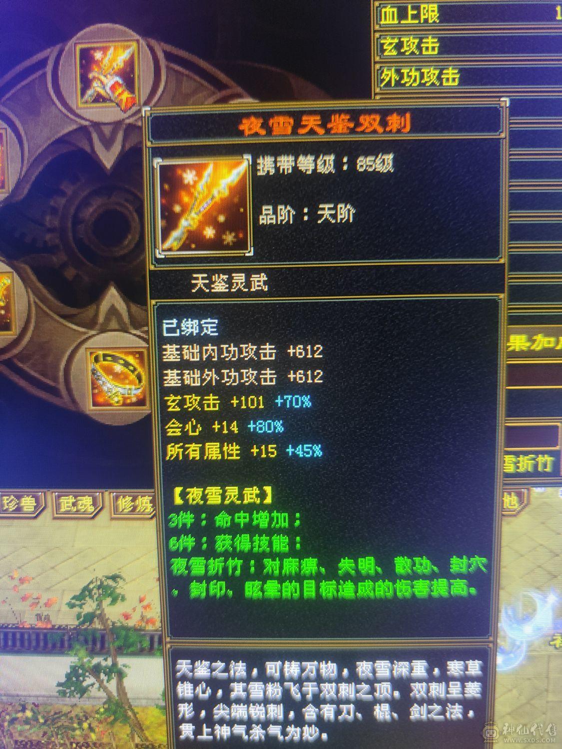 6级4修天龙裸10800属5神高会心高会防完美6橙兽魂