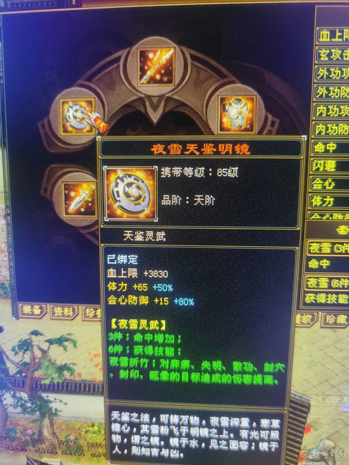 6级4修天龙裸10800属5神高会心高会防完美6橙兽魂