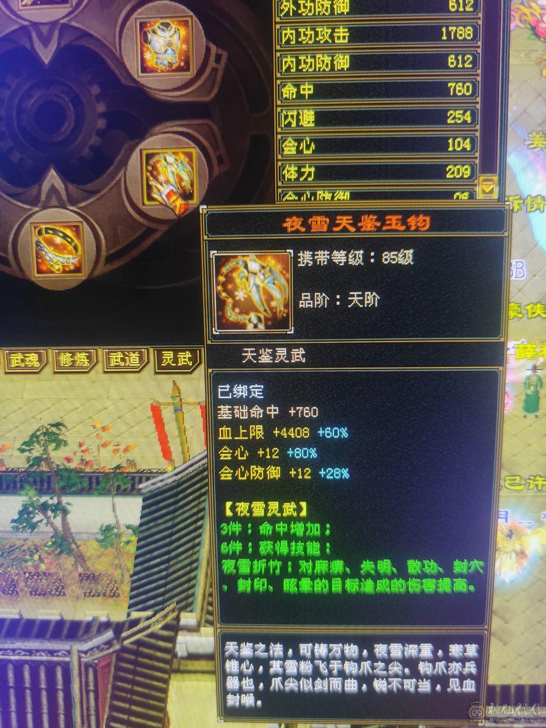 6级4修天龙裸10800属5神高会心高会防完美6橙兽魂
