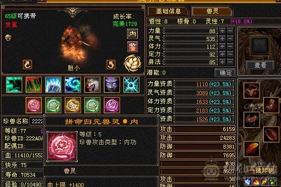 兽灵5级 四体五属性