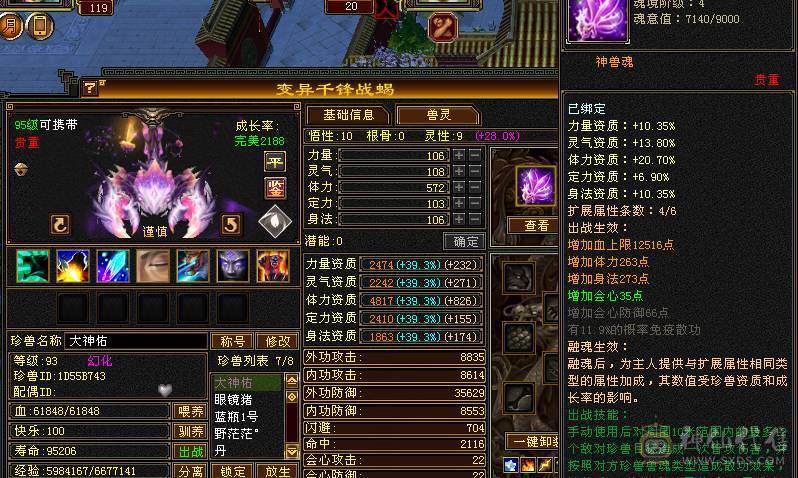 五级双抗