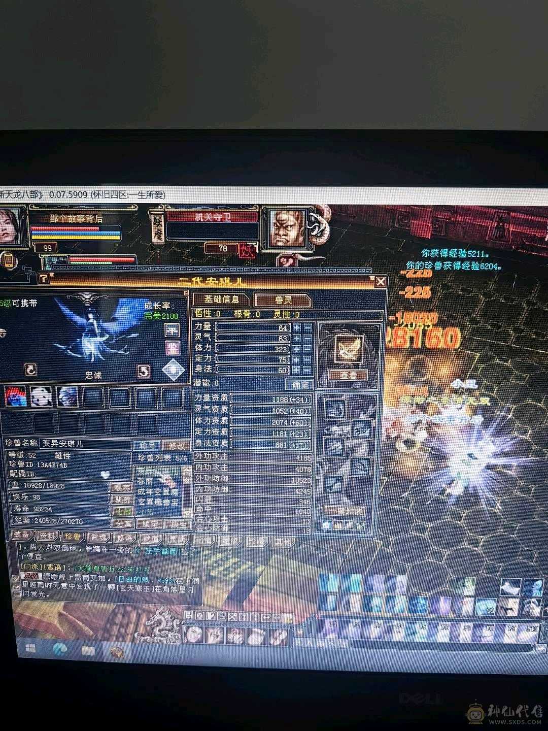 超低价格 拿去玩
