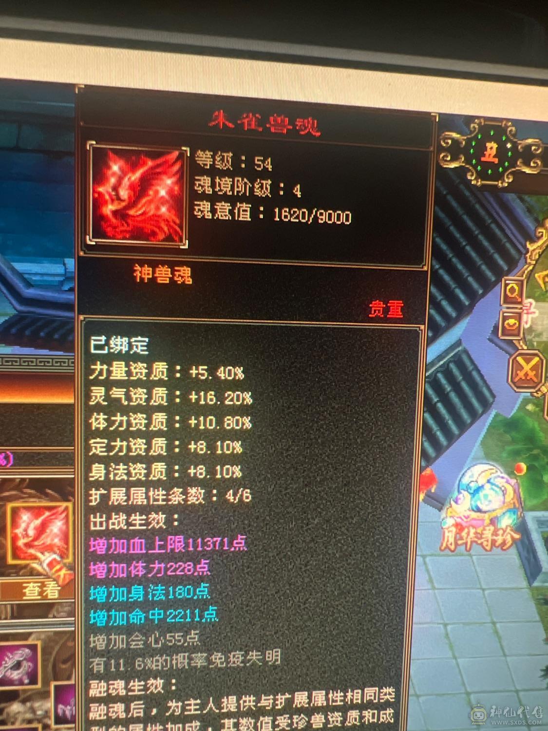 真正的极限五三修逍遥，退游出