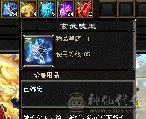 6级双修火炕星宿 专打逍遥明教 麒麟坐骑 四级金箍棒  三级冰河 东西全带 无敌丹马上出