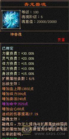 6神四修冰武当 6减 满6带7 带10雕 大完美武魂 白虎五阶