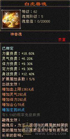 6神四修冰武当 6减 满6带7 带10雕 大完美武魂 白虎五阶