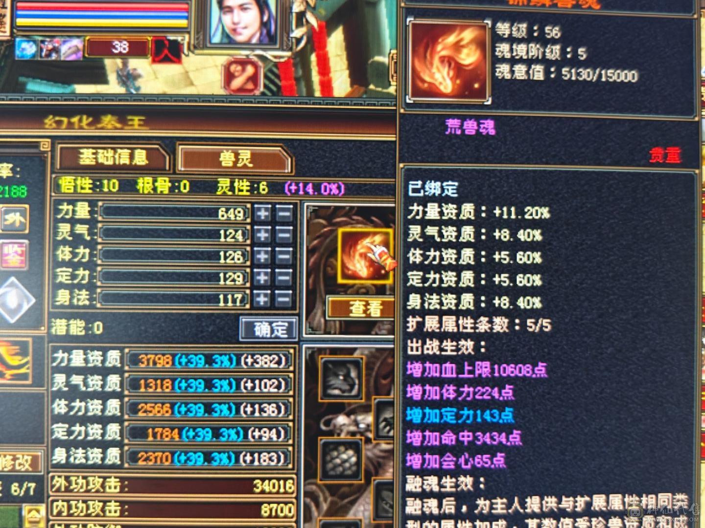 满4带5小天山副本刷马噶噶上电视