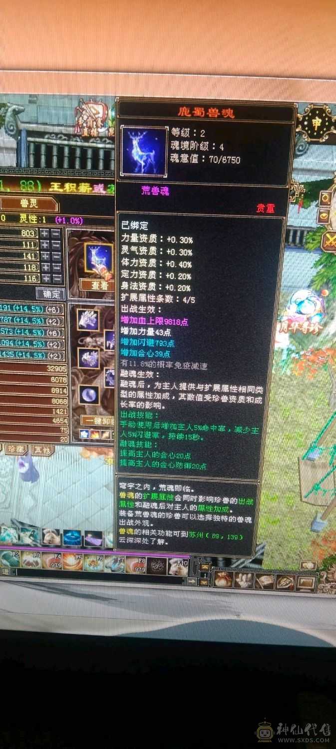 千属副本通刷号