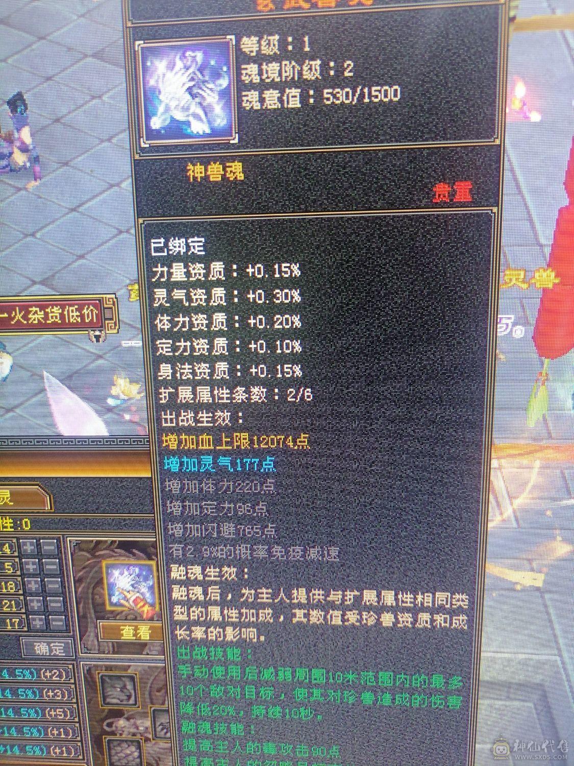 任何副本活动