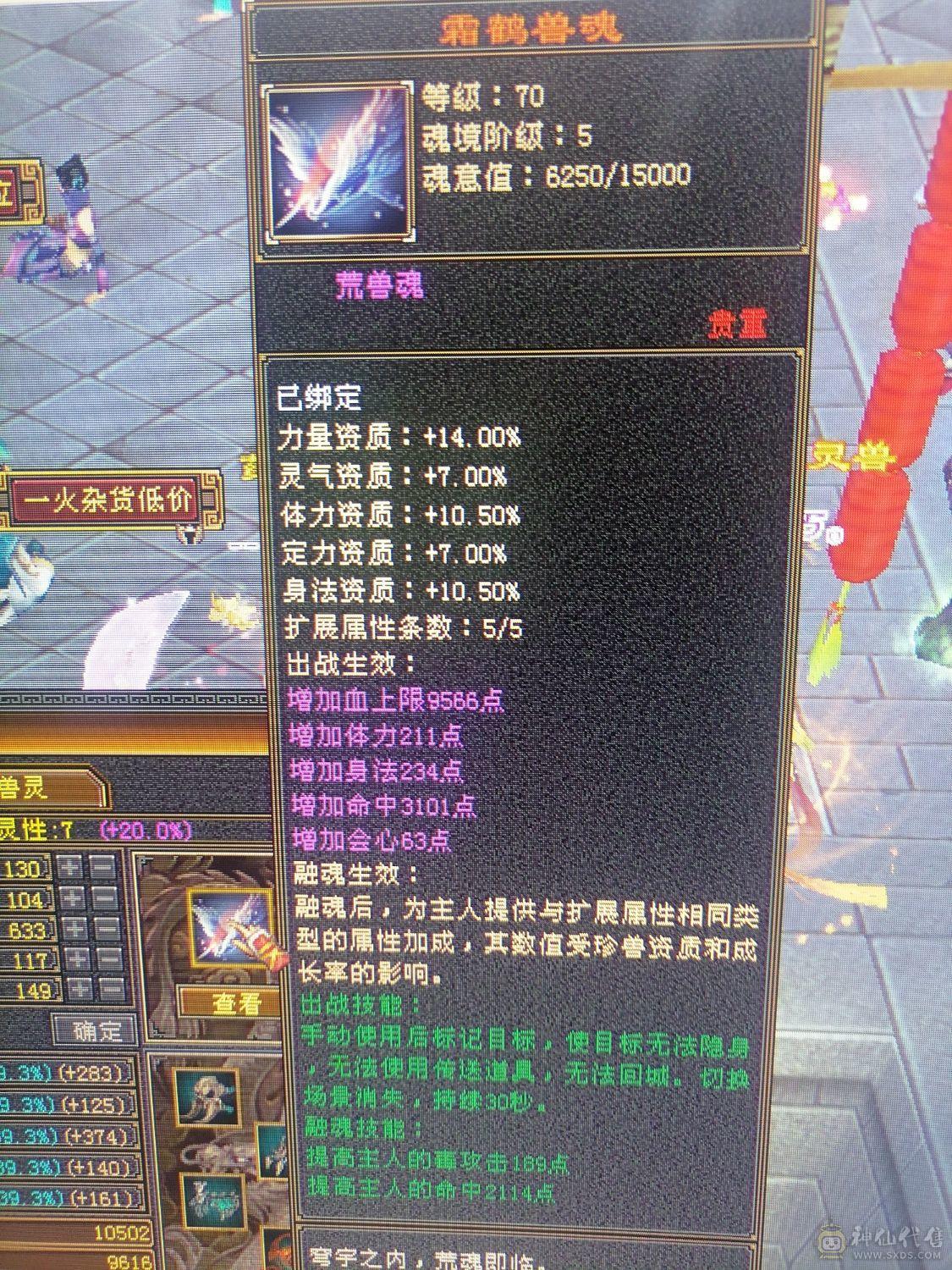 任何副本活动