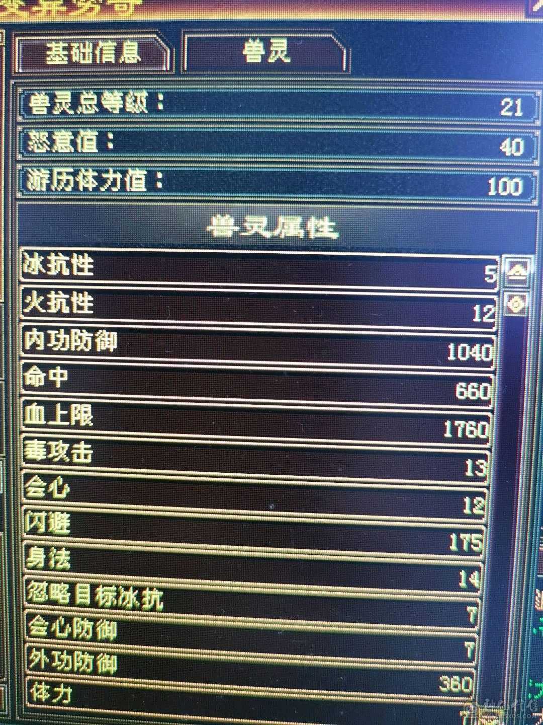 暴力天山