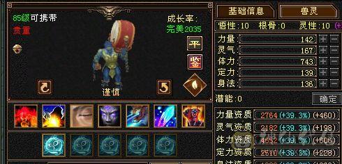 帅气丐帮 5体5属 能打能抗