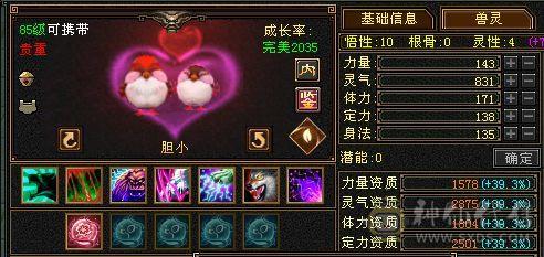 帅气丐帮 5体5属 能打能抗