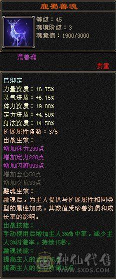 帅气丐帮 5体5属 能打能抗