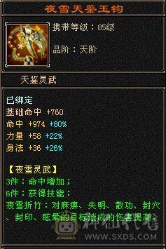 帅气丐帮 5体5属 能打能抗