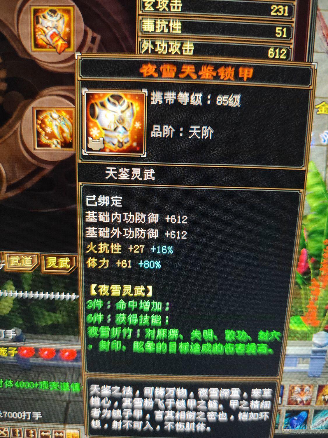 火毒抗抗拉满百万血大少林