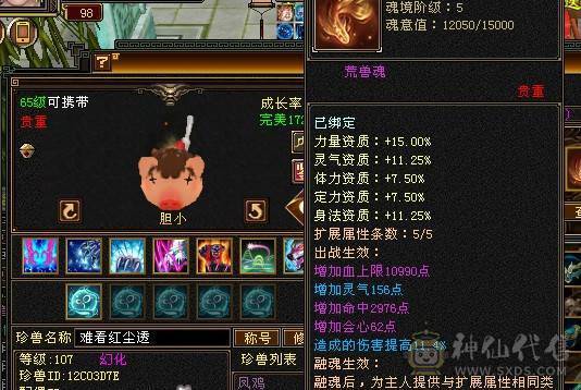 随缘卖