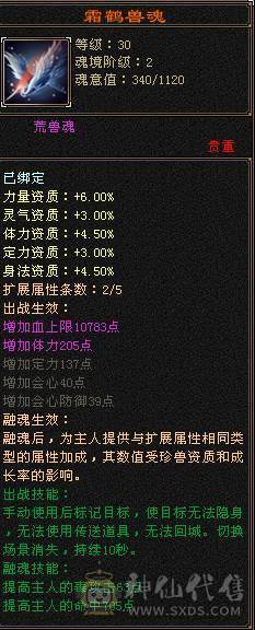 花海推荐  精品星宿   满六体半六属杂抗伤害爆炸  五神
