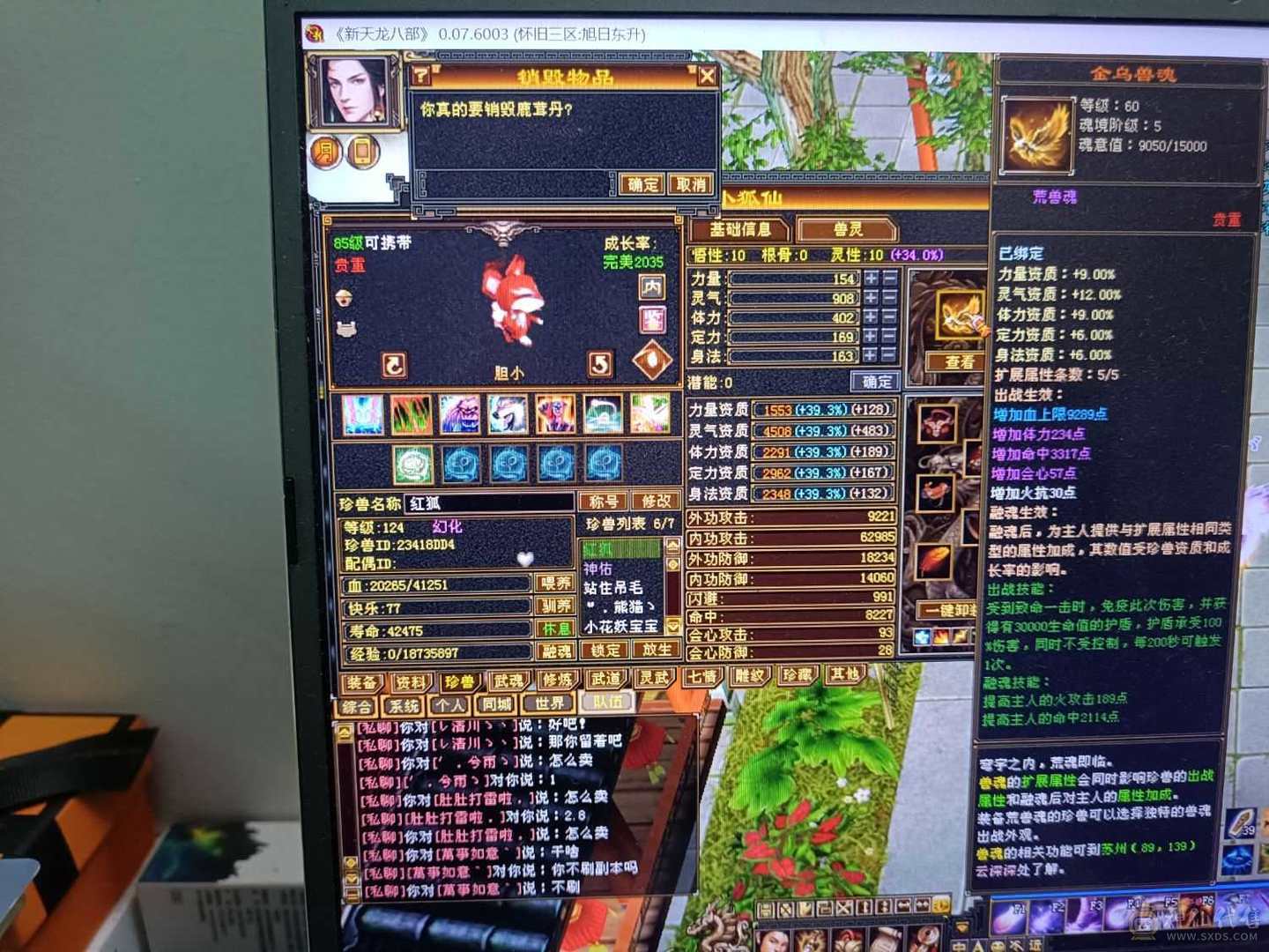 任意副本随便过
