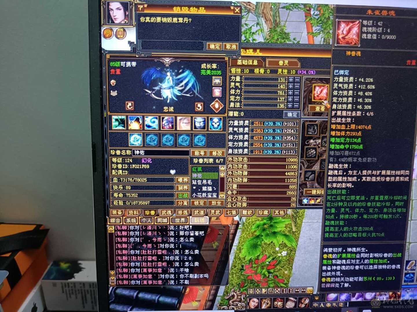 任意副本随便过
