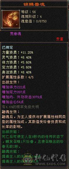 武当细节4级号，带宝宝青龙九尾兽魂，九级矿，上手就玩