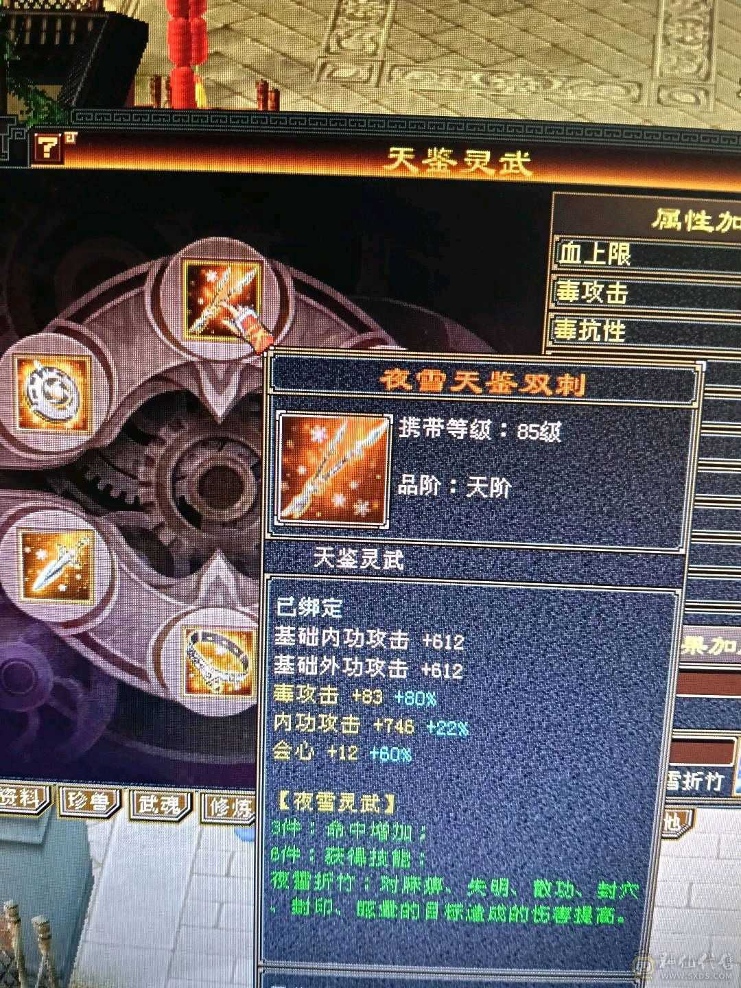 极限满5星宿，42万血，6慌4神，4抗都是200➕，带3只宝宝，白骆驼，话不多说，看上直接去下单。