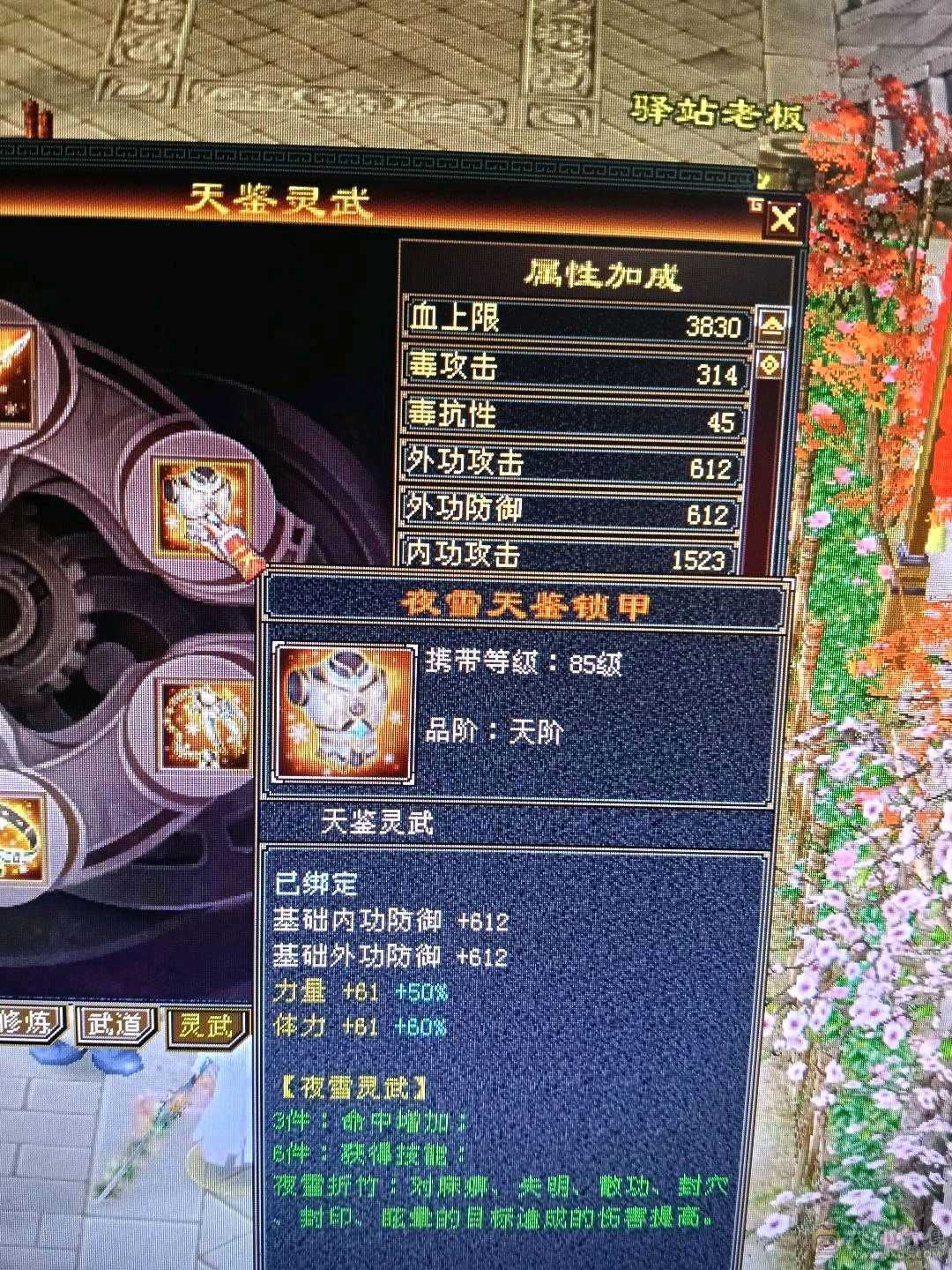 极限满5星宿，42万血，6慌4神，4抗都是200➕，带3只宝宝，白骆驼，话不多说，看上直接去下单。