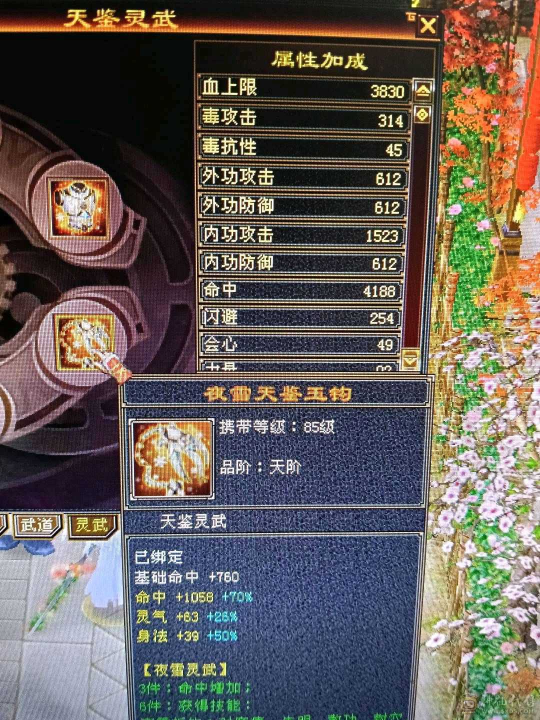 极限满5星宿，42万血，6慌4神，4抗都是200➕，带3只宝宝，白骆驼，话不多说，看上直接去下单。