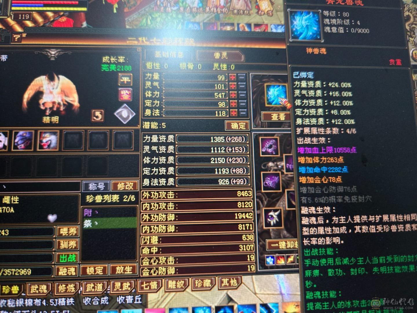 .出极限双休天山