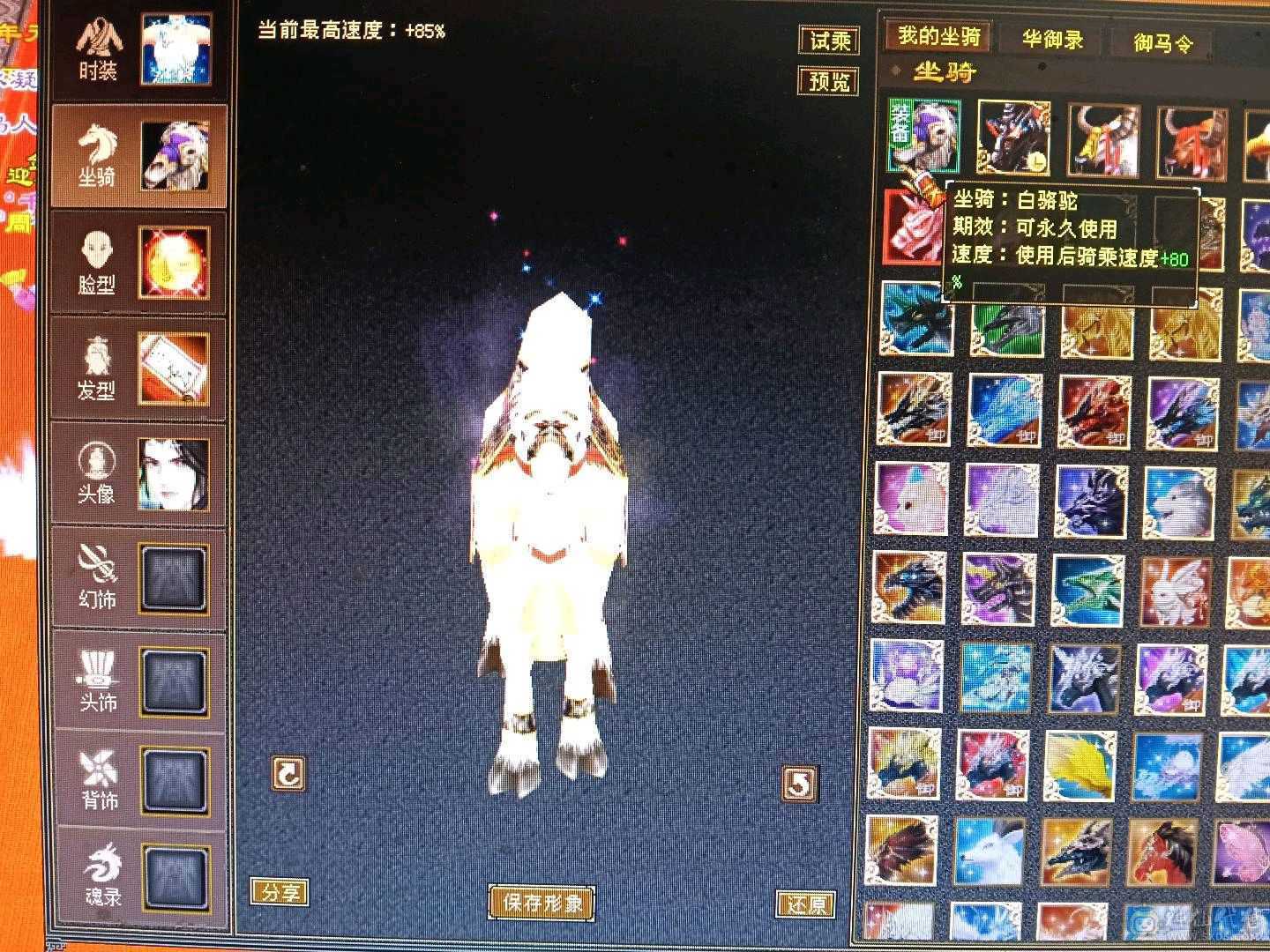 极限满5星宿，42万血，6慌4神，4抗都是200➕，带3只宝宝，白骆驼，话不多说，看上直接去下单。