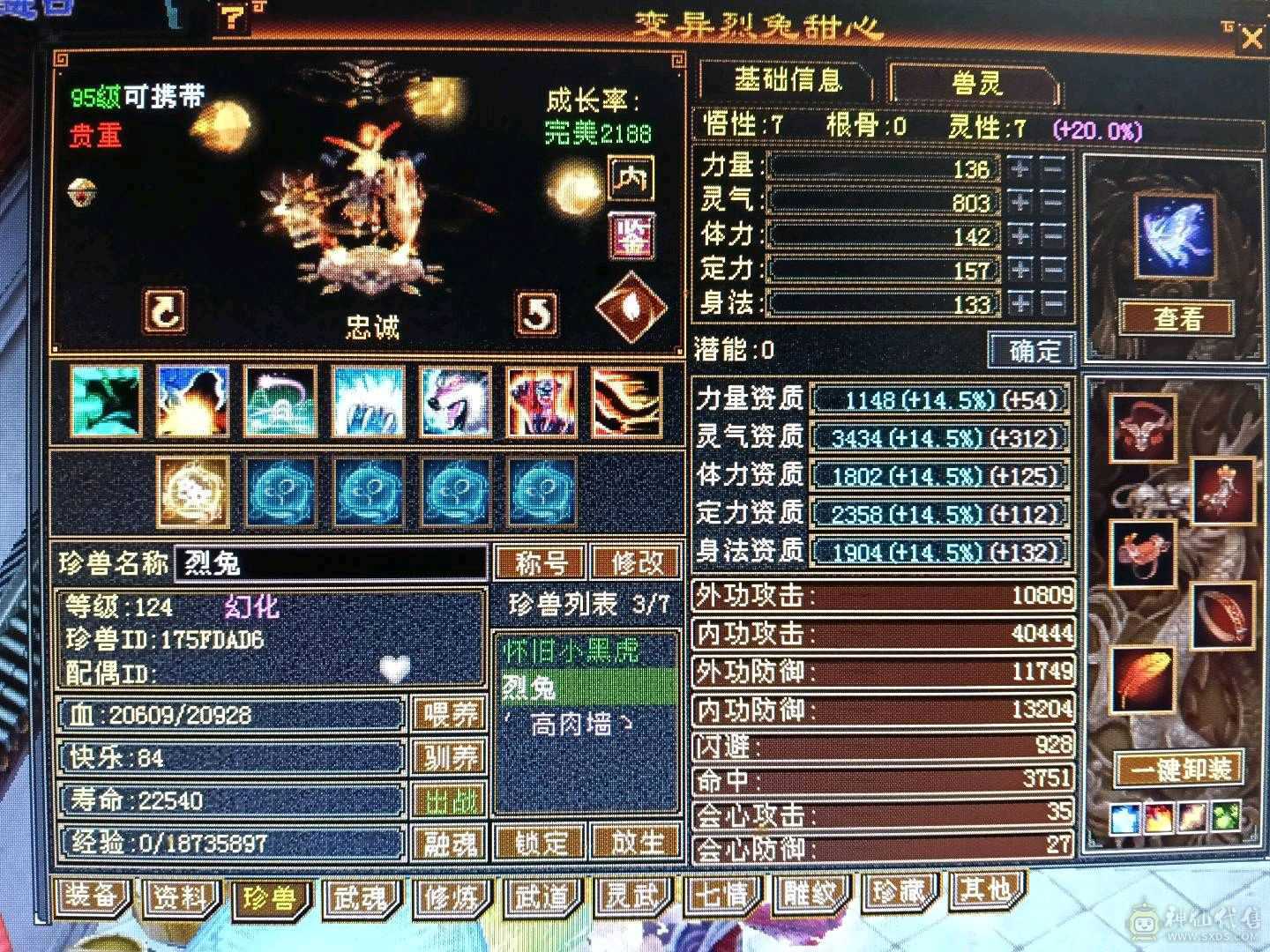 极限满5星宿，42万血，6慌4神，4抗都是200➕，带3只宝宝，白骆驼，话不多说，看上直接去下单。