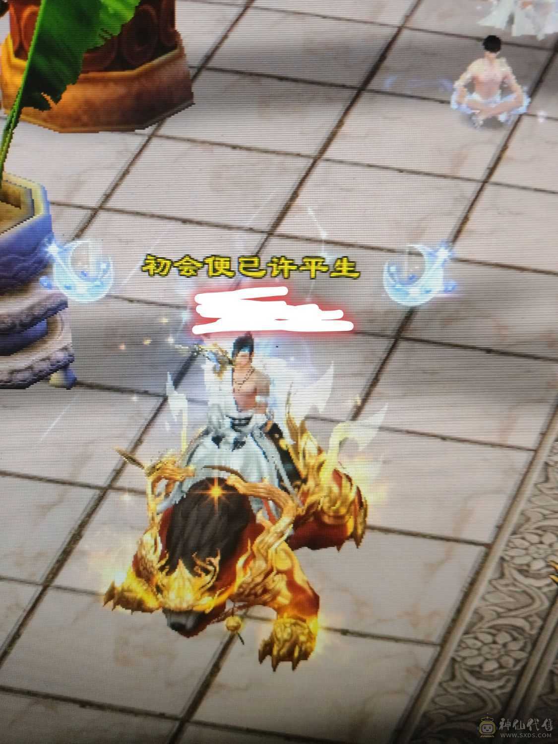 超级大花瓶逍遥，石头更新了，属性2200，图片没更新