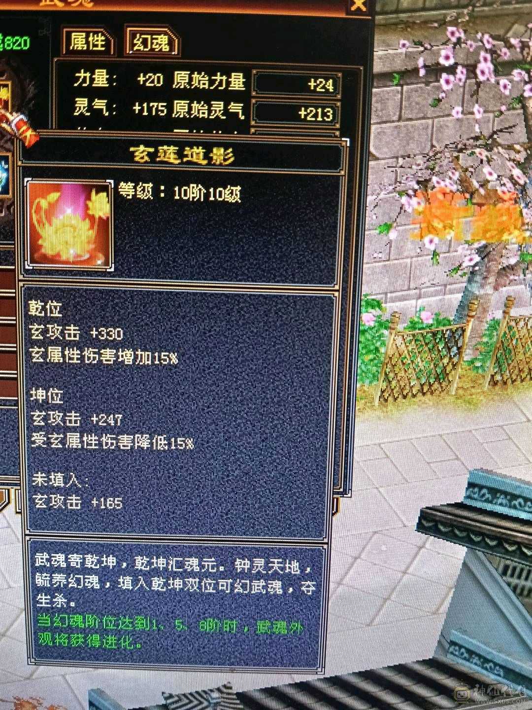 极限全5天龙，44万+血🩸，双排5级冰抗，4️⃣修，9000+总属性，带几个宝宝，不清仓，喜欢玩4️⃣修天龙的欢迎下单