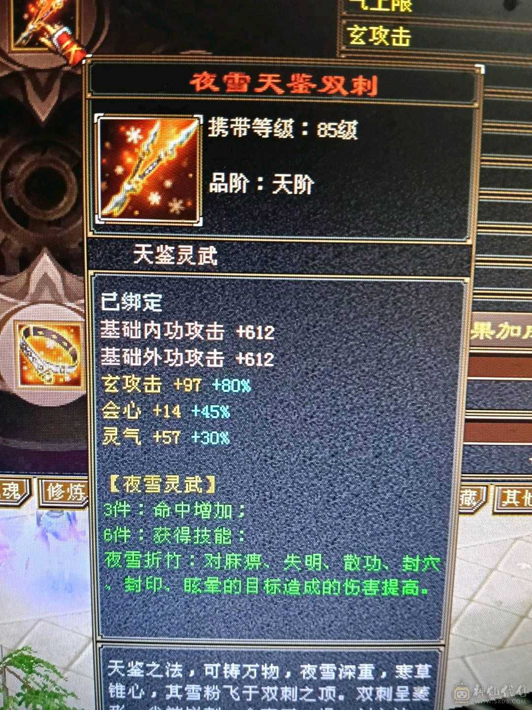 极限全5天龙，44万+血🩸，双排5级冰抗，4️⃣修，9000+总属性，带几个宝宝，不清仓，喜欢玩4️⃣修天龙的欢迎下单