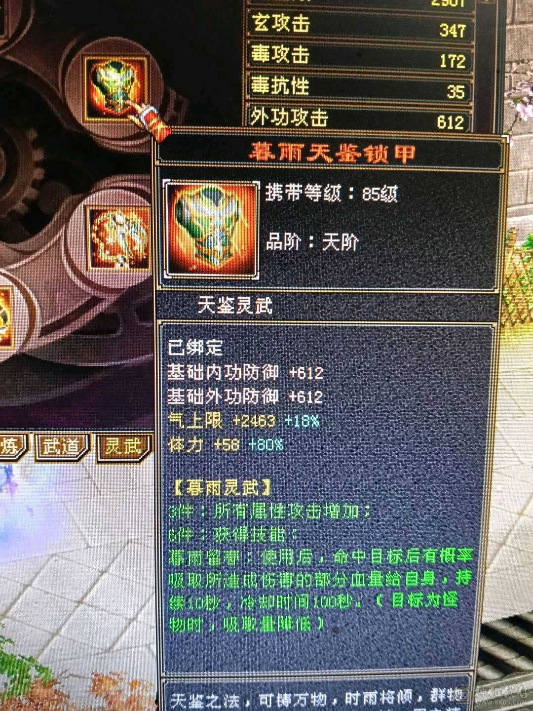极限全5天龙，44万+血🩸，双排5级冰抗，4️⃣修，9000+总属性，带几个宝宝，不清仓，喜欢玩4️⃣修天龙的欢迎下单