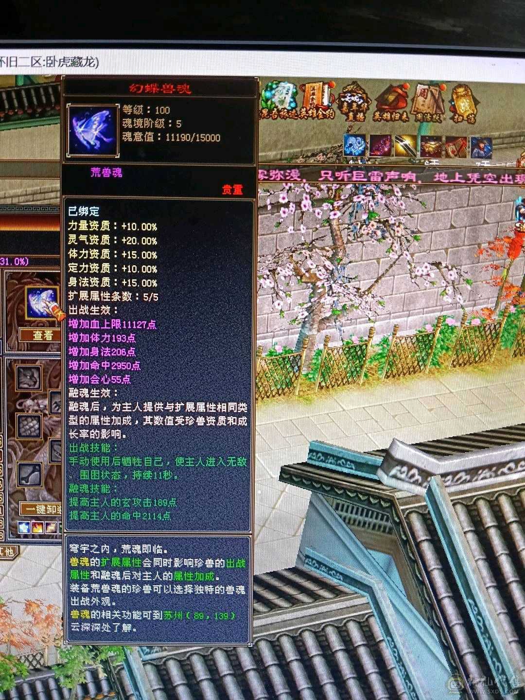 极限全5天龙，44万+血🩸，双排5级冰抗，4️⃣修，9000+总属性，带几个宝宝，不清仓，喜欢玩4️⃣修天龙的欢迎下单