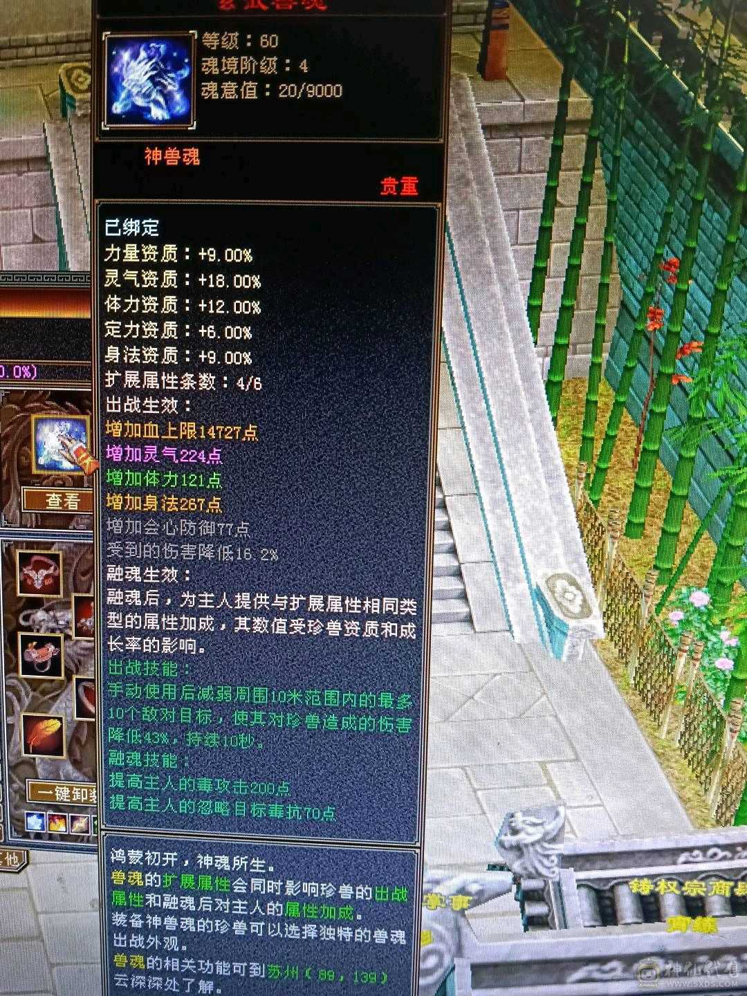 极限满5星宿，42万血，6慌4神，4抗都是200➕，带3只宝宝，白骆驼，话不多说，看上直接去下单。