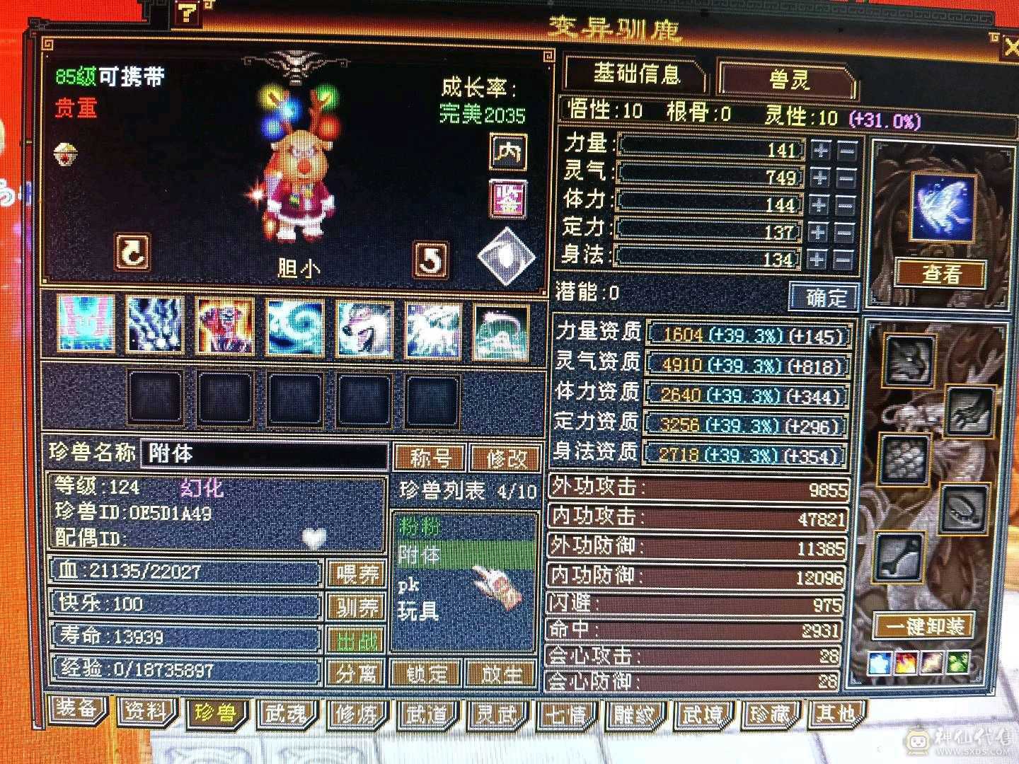 极限全5天龙，44万+血🩸，双排5级冰抗，4️⃣修，9000+总属性，带几个宝宝，不清仓，喜欢玩4️⃣修天龙的欢迎下单