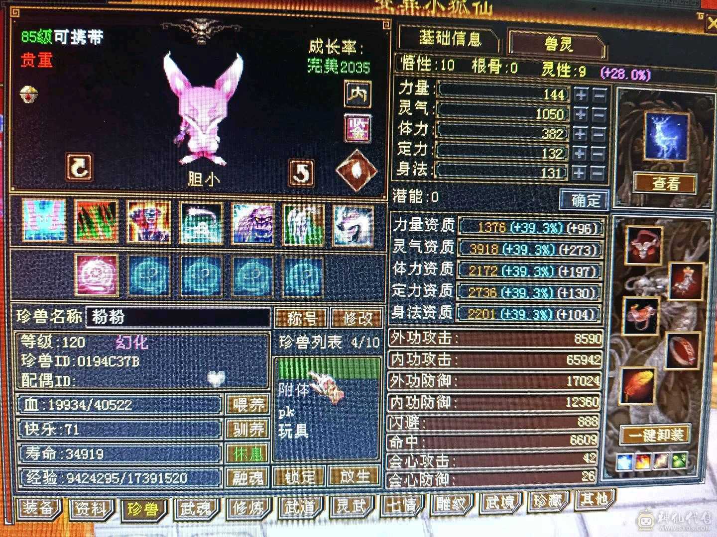 极限全5天龙，44万+血🩸，双排5级冰抗，4️⃣修，9000+总属性，带几个宝宝，不清仓，喜欢玩4️⃣修天龙的欢迎下单