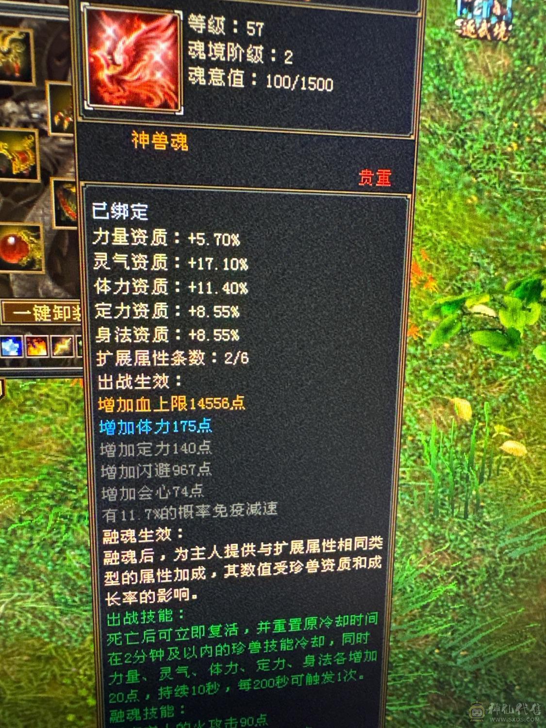 六级冰抗四修少林