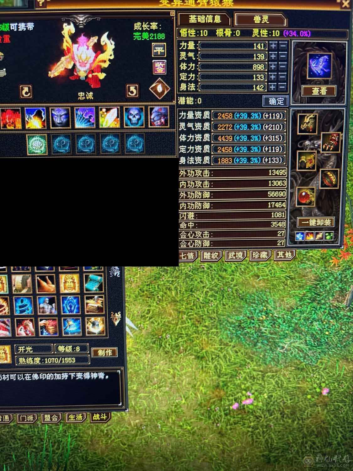 六级冰抗四修少林