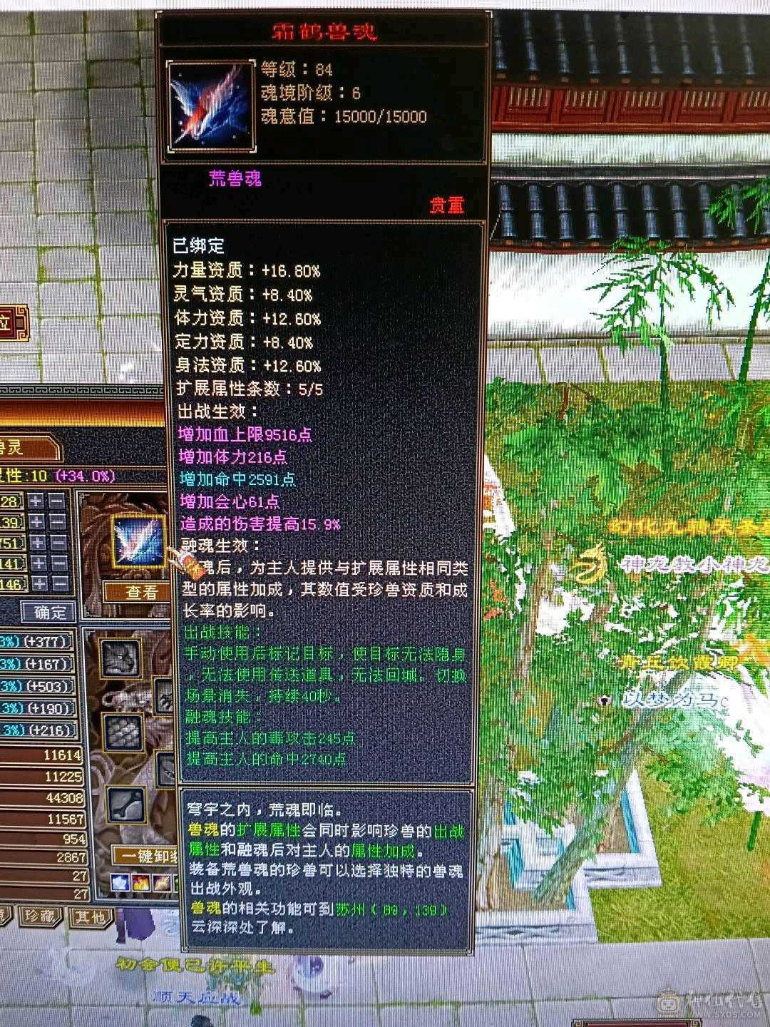 极限满5星宿，42万血，6慌4神，4抗都是200➕，带3只宝宝，白骆驼，话不多说，看上直接去下单。