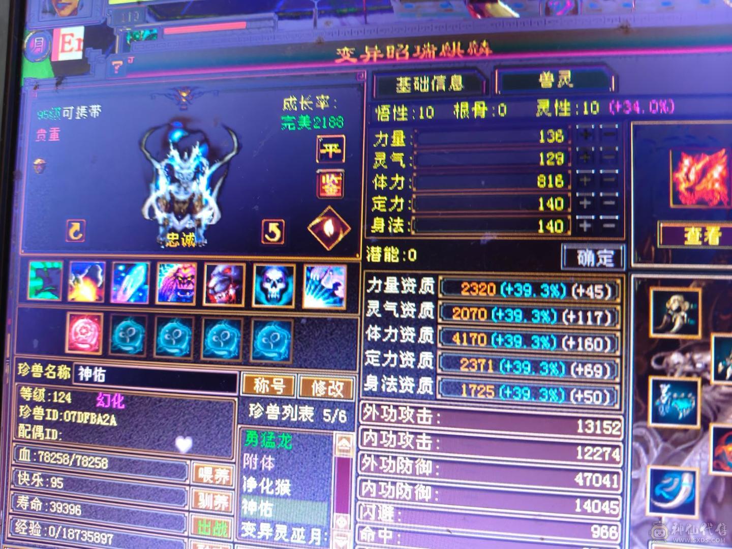 极品五级气武当，35万血，18万气，三满号，火玄双休，纹刻五级，盟会七级种子九级，号一直在跟新，所见即所得