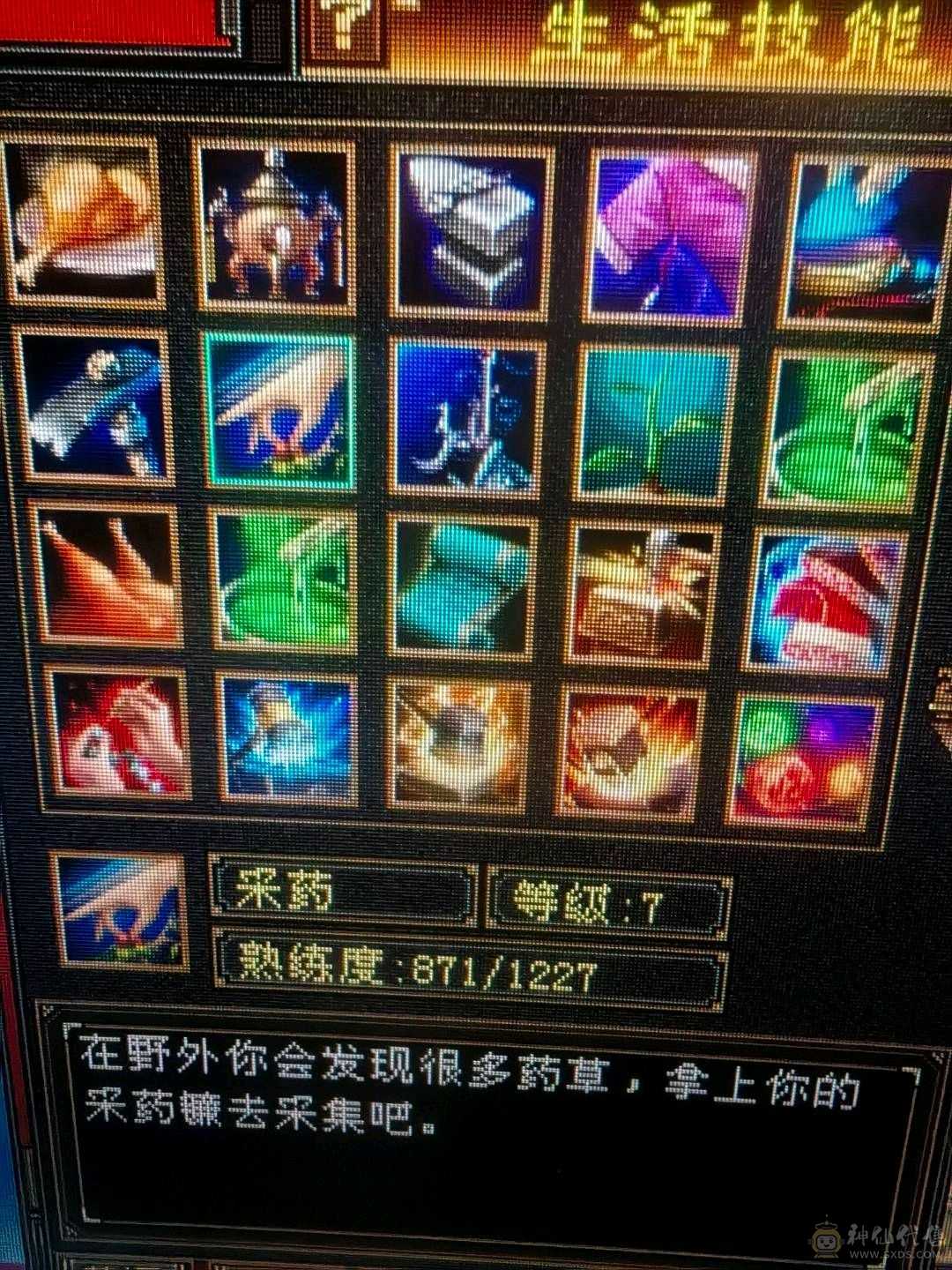 真正的极限满5十颗5级减抗 满消费，乾坤商会已开