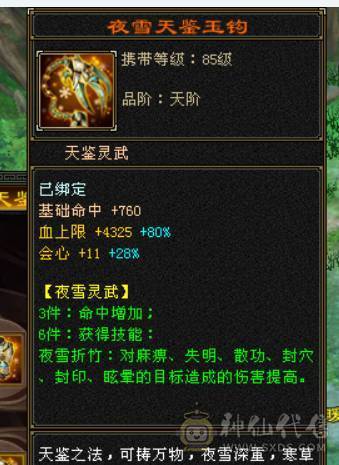 颜值与实力并存，主属性5200+，副属性近2000，极品手工带体带会心，强化9，增伤