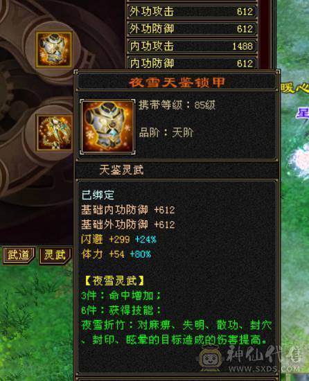 颜值与实力并存，主属性5200+，副属性近2000，极品手工带体带会心，强化9，增伤