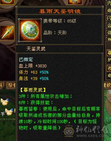 颜值与实力并存，主属性5200+，副属性近2000，极品手工带体带会心，强化9，增伤