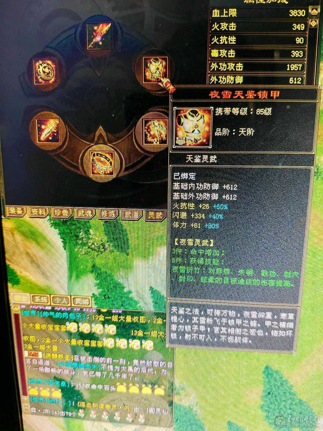 无敌丹小丐帮6属不满号7000毒1850火200火减 800火抗，极不极限你