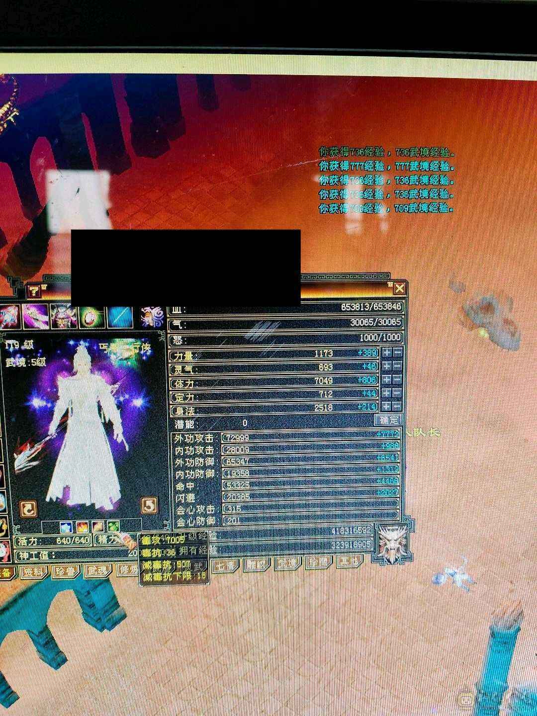 无敌丹小丐帮6属不满号7000毒1850火200火减 800火抗，极不极限你