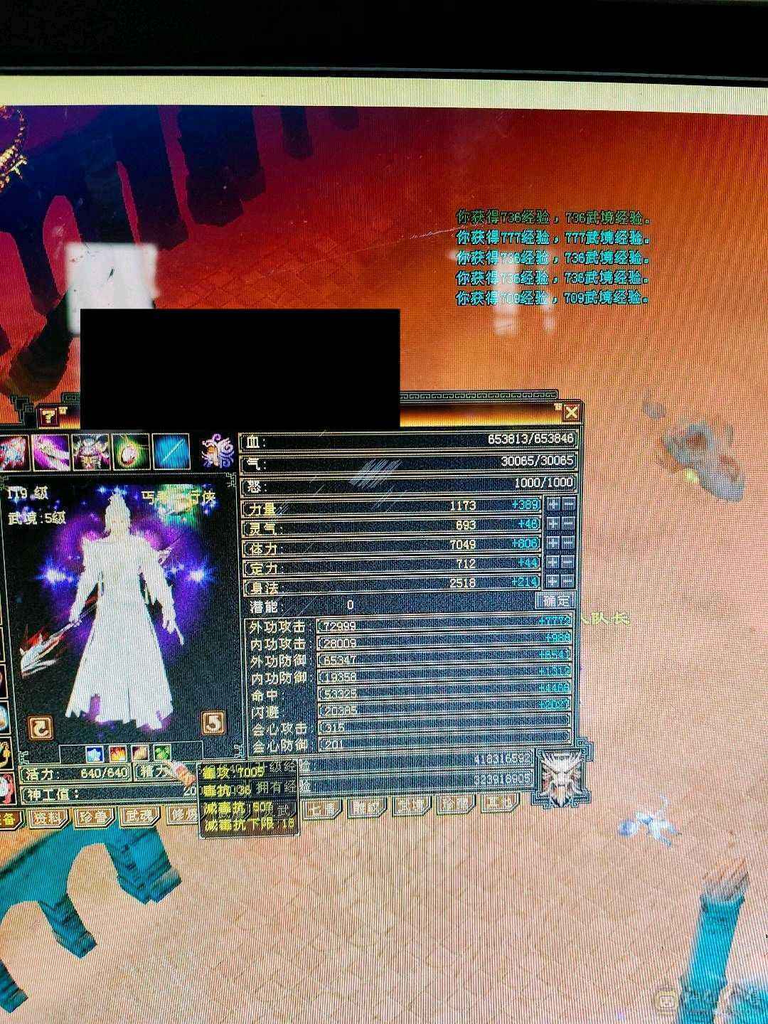 无敌丹小丐帮6属不满号7000毒1850火200火减 800火抗，极不极限你